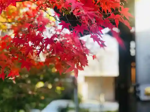 普元寺(愛知県)