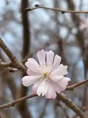 下太田廃寺塔跡(兵庫県)