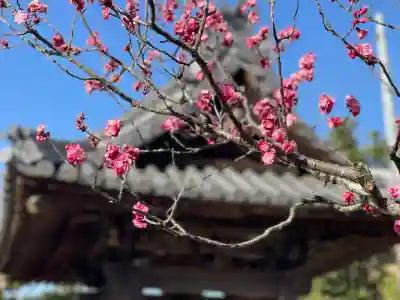 誓昌院の{uncategorized: "未分類", other: "その他", undefined: "問題あり", building: "その他建物", grave: "お墓", sacred_gate: "鳥居", guardian: "狛犬", statue: "像", buddha: "仏像", history: "歴史", nature: "自然", garden: "庭園", animal: "動物", pagoda: "塔", temizu: "手水舎", mountain_gate: "山門・神門", sanctuary: "本殿・本堂", subordinate: "末社・摂社", art: "芸術", scenery: "景色", jizo: "地蔵", ema: "絵馬", goshuin: "御朱印", omikuji: "おみくじ", items: "授与品その他", amulet: "お守り", goshuincho: "御朱印帳", eats: "食事", festival: "お祭り", votive_dance: "神楽", shichigosan: "七五三参", wedding: "結婚式", experience: "体験その他", initially: "初詣", around: "周辺", anti_infection: "感染症対策"}