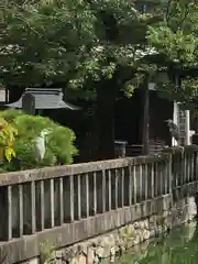 東寺（教王護国寺）の動物