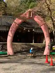 桃太郎神社（栗栖）の鳥居