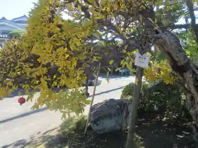 傳心寺(神奈川県)