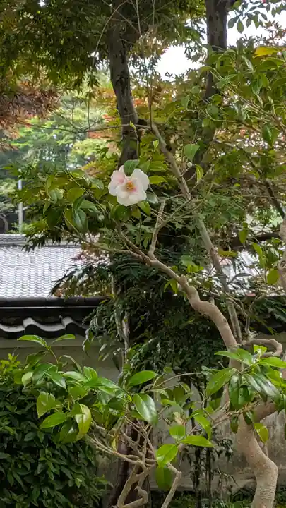 法起院(奈良県)