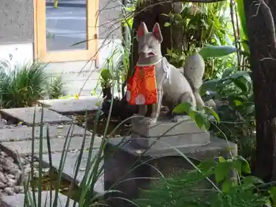 五十稲荷神社(栄寿稲荷神社)の狛犬