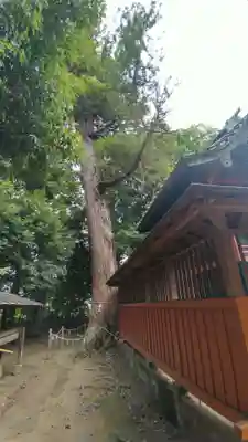 氷川神社(埼玉県)