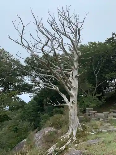 金華山黄金山神社のその他建物