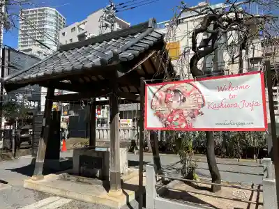 柏神社の{uncategorized: "未分類", other: "その他", undefined: "問題あり", building: "その他建物", grave: "お墓", sacred_gate: "鳥居", guardian: "狛犬", statue: "像", buddha: "仏像", history: "歴史", nature: "自然", garden: "庭園", animal: "動物", pagoda: "塔", temizu: "手水舎", mountain_gate: "山門・神門", sanctuary: "本殿・本堂", subordinate: "末社・摂社", art: "芸術", scenery: "景色", jizo: "地蔵", ema: "絵馬", goshuin: "御朱印", omikuji: "おみくじ", items: "授与品その他", amulet: "お守り", goshuincho: "御朱印帳", eats: "食事", festival: "お祭り", votive_dance: "神楽", shichigosan: "七五三参", wedding: "結婚式", experience: "体験その他", initially: "初詣", around: "周辺", anti_infection: "感染症対策"}