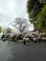 阿佐ヶ谷神明宮(東京都)