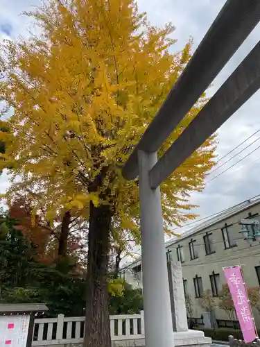 阿佐ヶ谷神明宮(東京都)