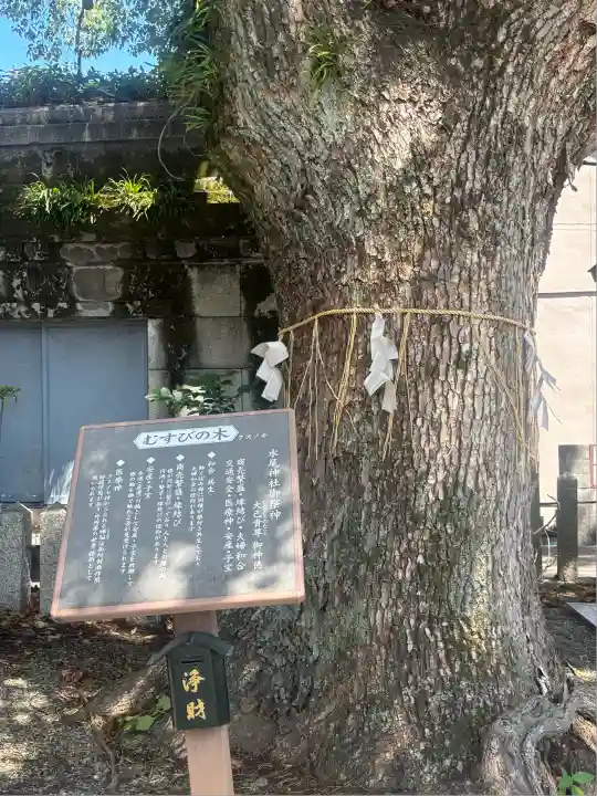 水尾神社(兵庫県)