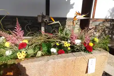 興聖寺(興聖寶林禅寺)(京都府)