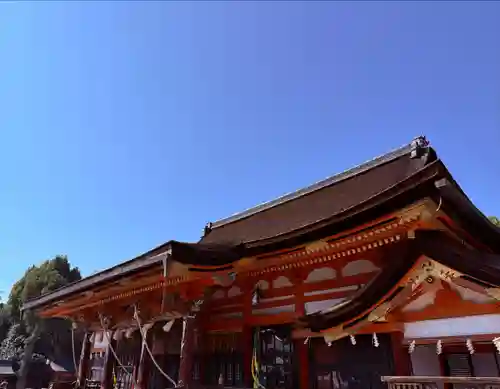 八坂神社(祇園さん)(京都府)