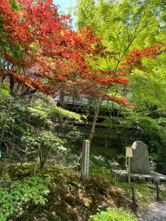 長岡天満宮(京都府)
