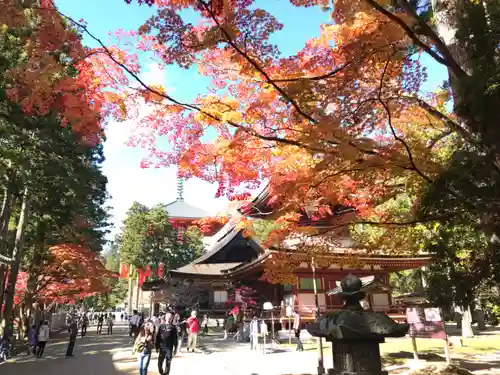 壇上伽藍の建物その他