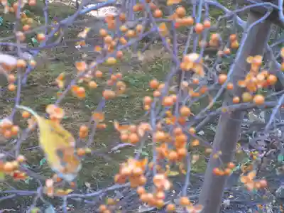 大巧寺(神奈川県)