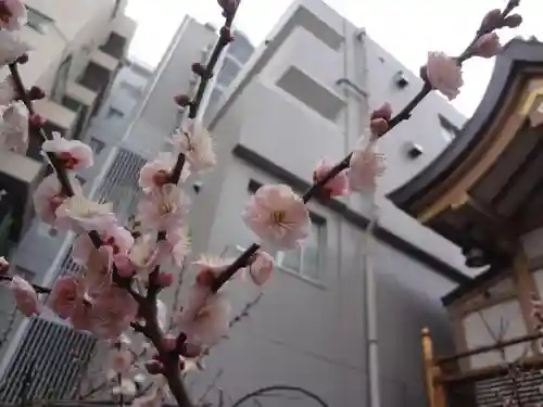湯島天満宮の自然