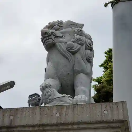 乃木神社の狛犬