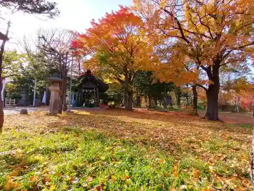 月寒神社の自然