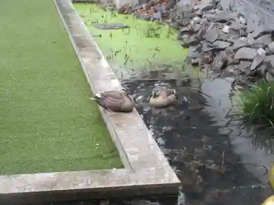 東光寺(埼玉県)