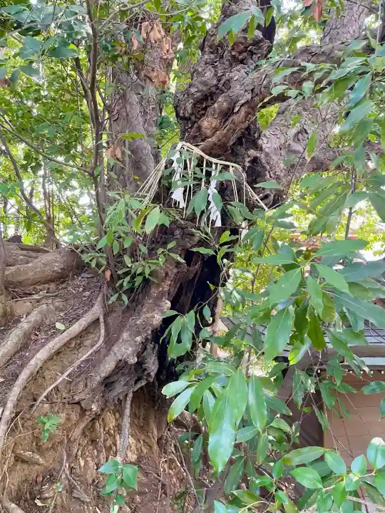 法真寺の{uncategorized: "未分類", other: "その他", undefined: "問題あり", building: "その他建物", grave: "お墓", sacred_gate: "鳥居", guardian: "狛犬", statue: "像", buddha: "仏像", history: "歴史", nature: "自然", garden: "庭園", animal: "動物", pagoda: "塔", temizu: "手水舎", mountain_gate: "山門・神門", sanctuary: "本殿・本堂", subordinate: "末社・摂社", art: "芸術", scenery: "景色", jizo: "地蔵", ema: "絵馬", goshuin: "御朱印", omikuji: "おみくじ", items: "授与品その他", amulet: "お守り", goshuincho: "御朱印帳", eats: "食事", festival: "お祭り", votive_dance: "神楽", shichigosan: "七五三参", wedding: "結婚式", experience: "体験その他", initially: "初詣", around: "周辺", anti_infection: "感染症対策"}