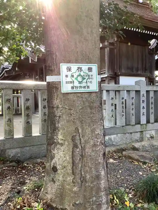 神明社(神明大明神)の自然