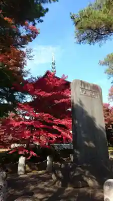 豪徳寺のその他建物