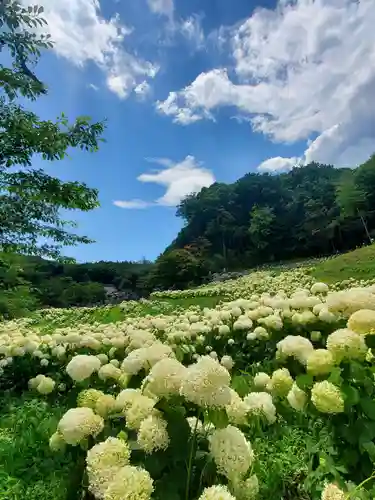 陽林寺(福島県)