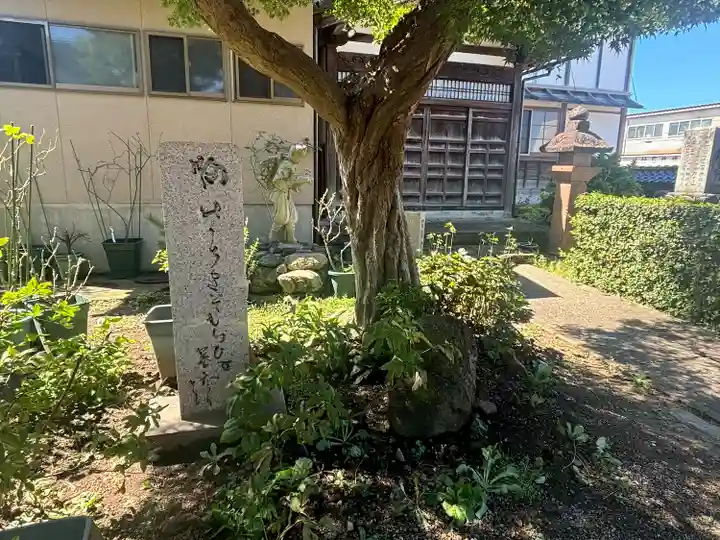 大円寺(石川県)