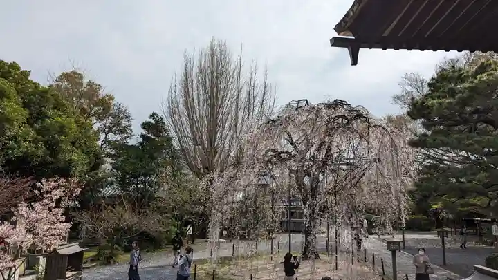 大報恩寺(千本釈迦堂)(京都府)