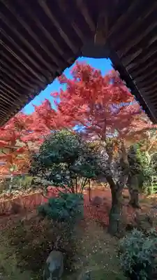 法金剛院(京都府)