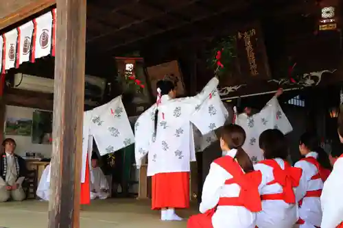 高屋敷稲荷神社の神楽