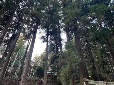 大宮温泉神社(栃木県)