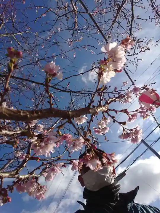 住吉神社の自然