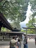 明治神宮(東京都)