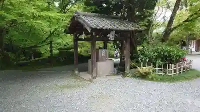 今熊野観音寺(京都府)