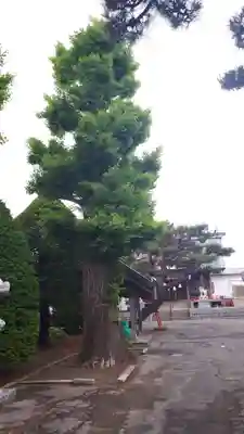 稲荷神社（鍛冶稲荷神社）(北海道)