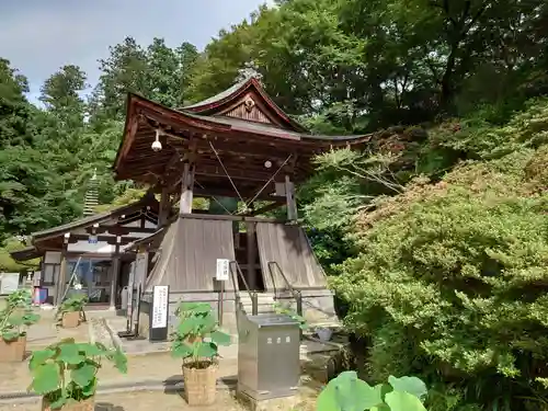 岡寺（龍蓋寺）(奈良県)