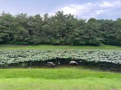 みそぎ御殿(宮崎県)