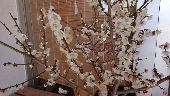 長良神社(群馬県)