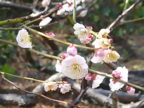 阿邪訶根神社(福島県)