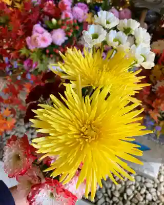 滑川神社 - 仕事と子どもの守り神の手水舎