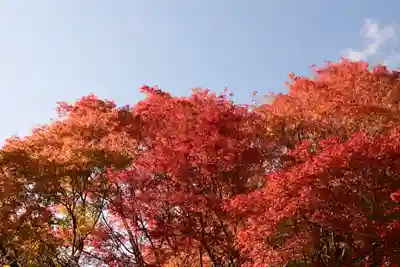 常照寺(京都府)
