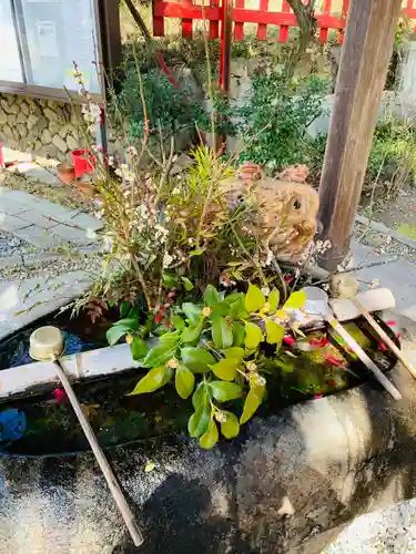 伏見稲荷大社(京都府)