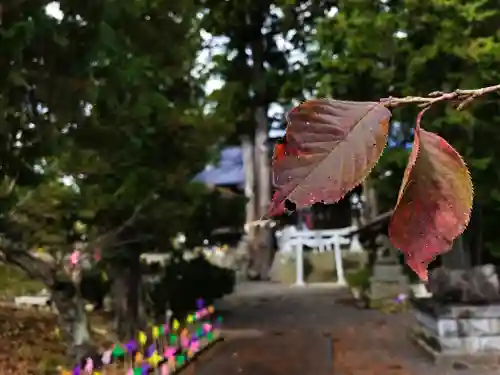 高司神社〜むすびの神の鎮まる社〜(福島県)