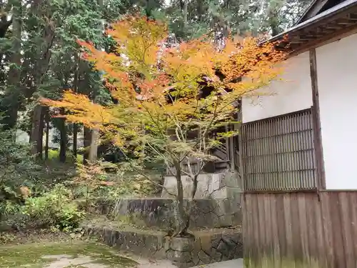杉森神社の自然
