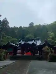 箱根神社の本殿