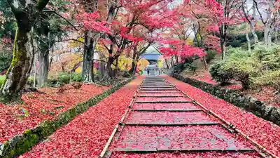 毘沙門堂門跡のその他建物