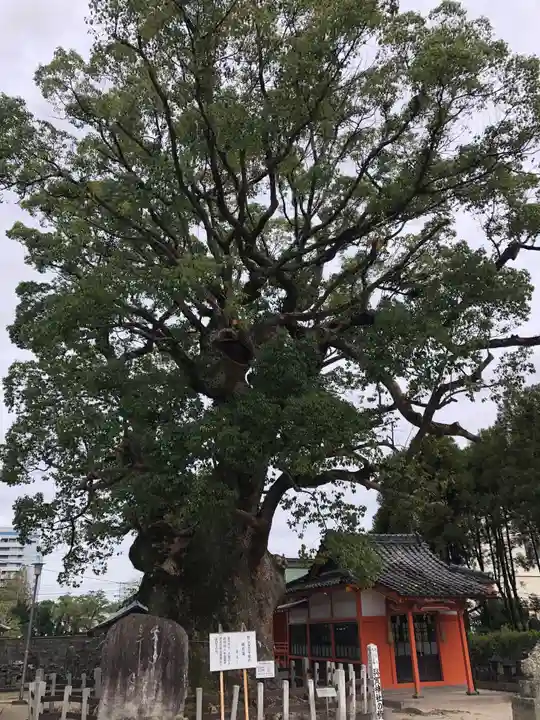 與賀神社の自然