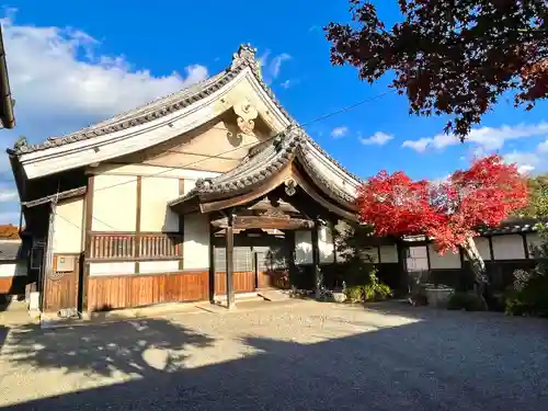 善照寺(滋賀県)