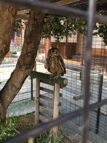 宮地嶽神社(福岡県)